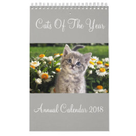 Gatos Do Ano Calendário Anual 2018