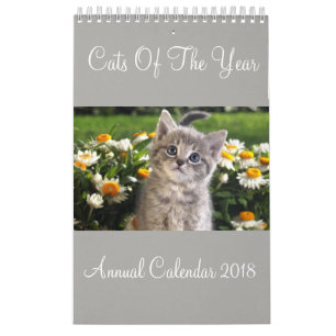 Gatos Do Ano Calendário Anual 2018