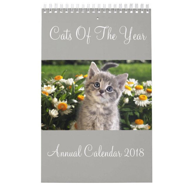 Gatos Do Ano Calendário Anual 2018 (Capa)