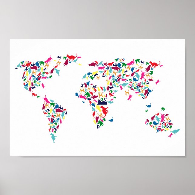 gatos do mundo poster (Frente)