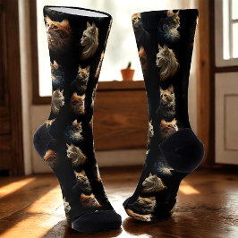 Gatos do ouro