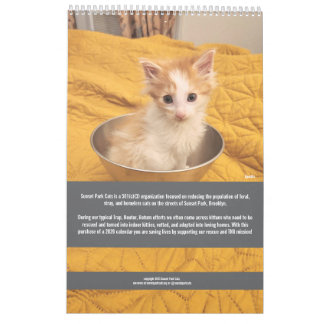 Gatos do Sunset Park | Calendário 2026 | Gatinhos