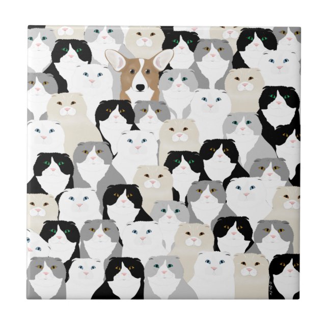 Gatos e Azulejo cerâmico para cães (Frente)