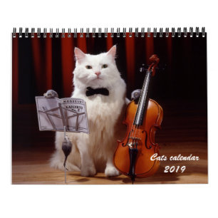 Gatos e calendário 2019 do gatinho