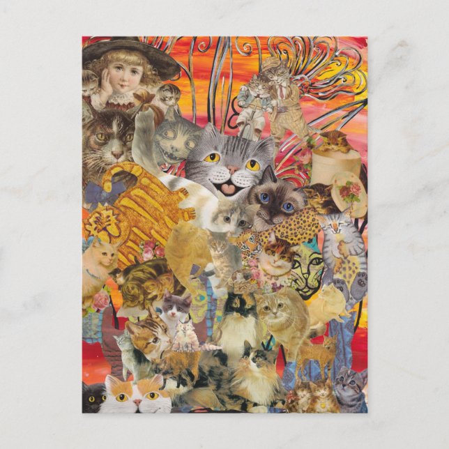 Gatos e cartões postais de abundância (Frente)
