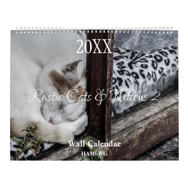 Gatos e Gatinhos Rústicos Calendário de Parede 2 - (Capa)