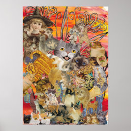 Gatos e Impressão de abundância