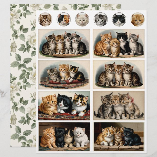 Gatos em estilo retrô Ephemera Cortes exigentes (Frente/Verso)