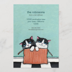 Gatos em um anúncio Home novo da caixa de