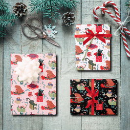 Gatos Engraçados Em Caixas De Natal