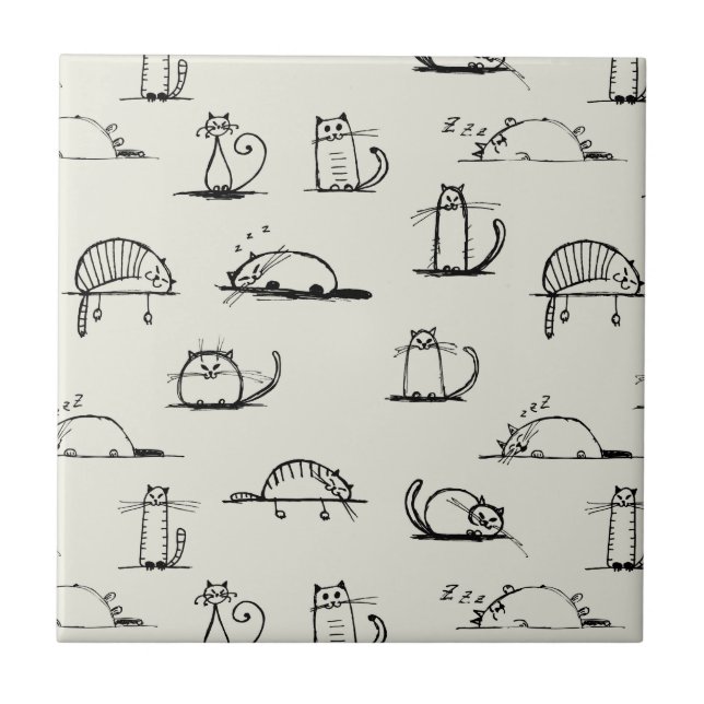 Gatos esboçado (Frente)