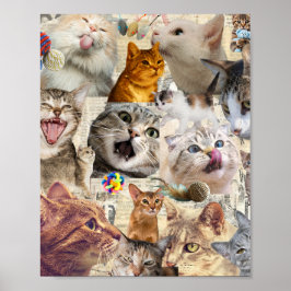 Gatos gatos gatos... Poster de Colagem de Gatos