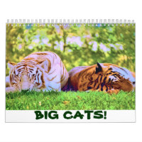 GATOS GRANDES! Calendário