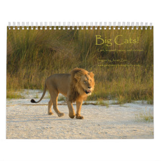 Gatos grandes! Leão, leopardo, chita, calendário