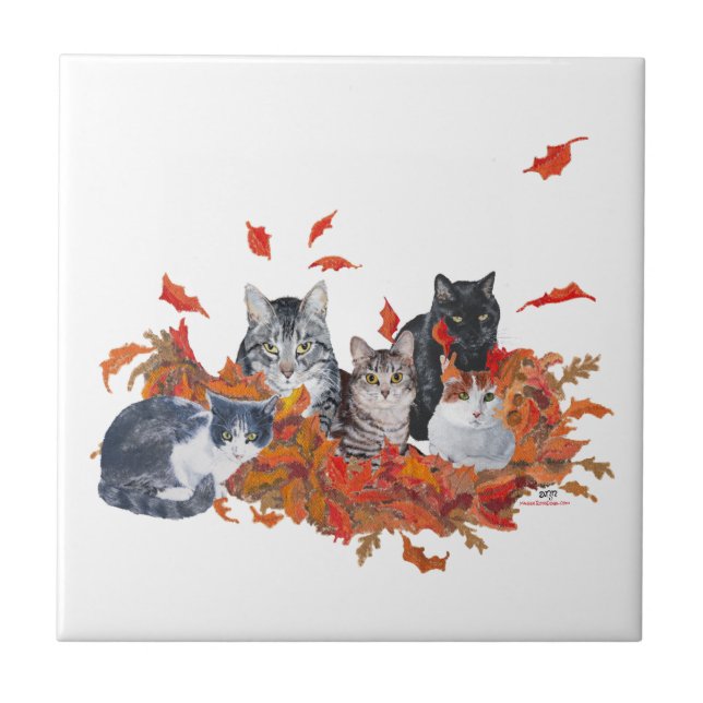 Gatos Kitty do Halloween (Frente)