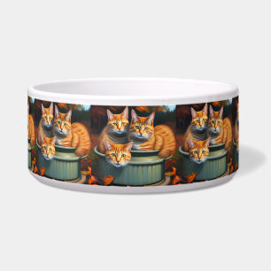 Gatos Laranja Plantam Vasos, Tigela de Cerâmica pa