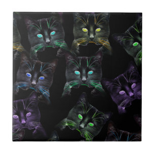 Gatos Legal em Preto! Gatos multicoloridos