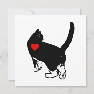 Gatos Mostrando Amor