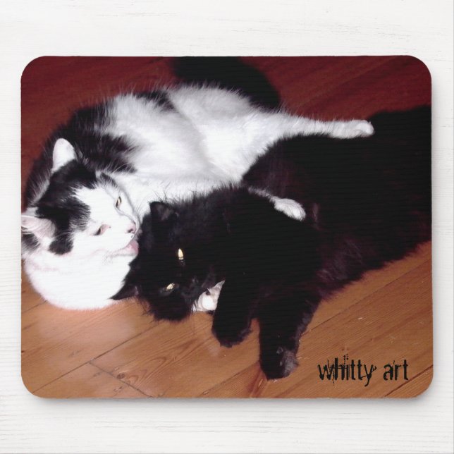 Gatos Mousepad do amor (Frente)