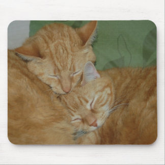 Gatos Mousepad do sono