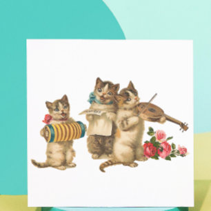 Gatos Musicais