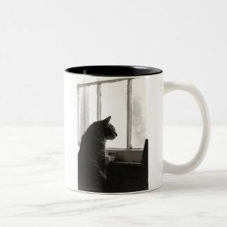 Gatos na caneca da janela