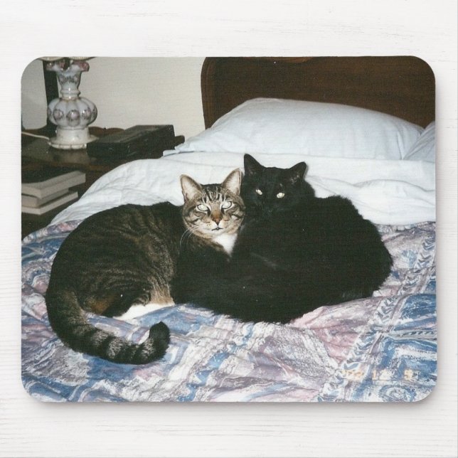 gatos no mousepad da cama (Frente)