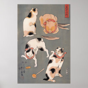 Gatos no Play Poster