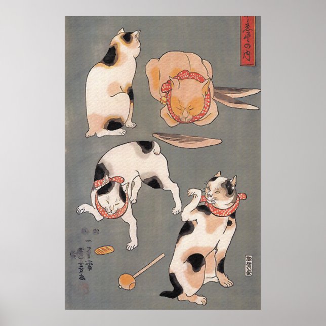 Gatos no Play Poster (Frente)