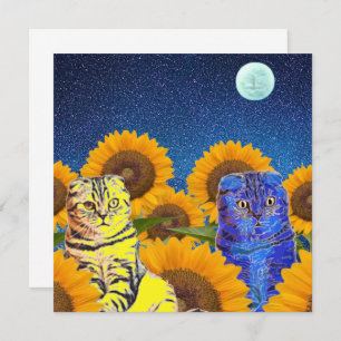 Gatos para a Ucrânia