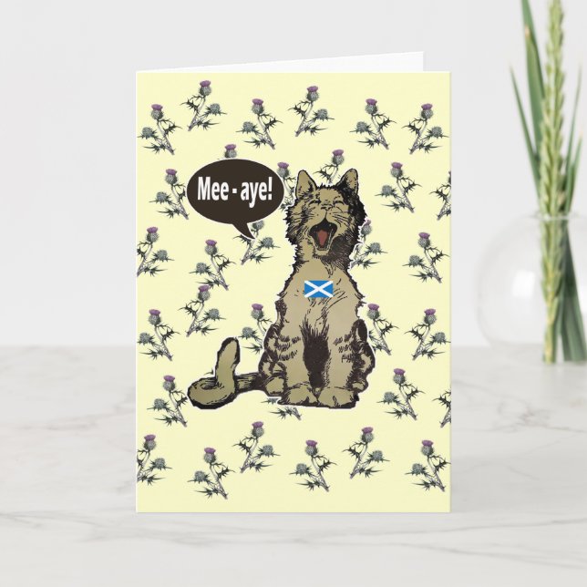 Gatos para o Cartão de Independência Escocês (Frente)