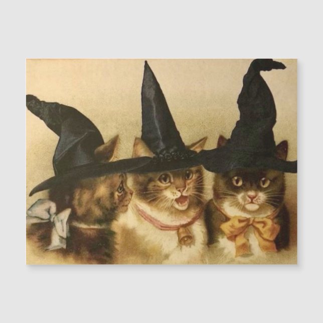 Gatos Pretos de Halloween Vintage (Frente)