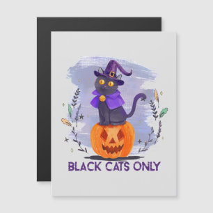 Gatos Pretos - Gato de Bruxa no Jack O’-Lanterna