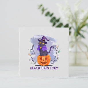 Gatos Pretos - Gato de Bruxa no Jack O’-Lanterna