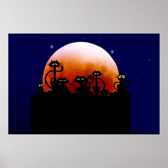 Gatos Pretos Num Poster De Cerca (Frente)