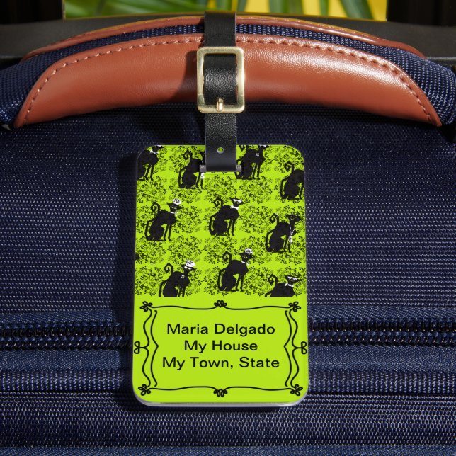 Gatos Profissionais Surgem A Etiqueta De Bagagem (Frente Insitu 2)