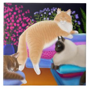 Gatos que Lounging no azulejo limpo da lavanderia