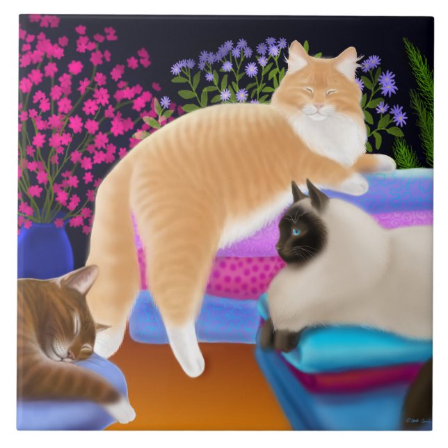 Gatos que Lounging no azulejo limpo da lavanderia (Frente)