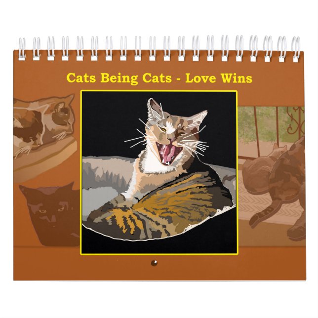 Gatos sendo Gatos - Calendário - Ganhos de Amor (Capa)