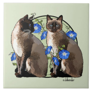Gatos Siamese com corriolas