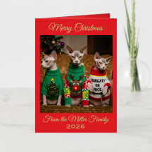 Gatos Sphynx de Natal Personalizados Foto Divertid