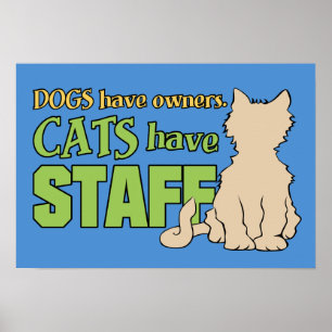 GATOS TÊM poster personalizado FUNCIONARIOS