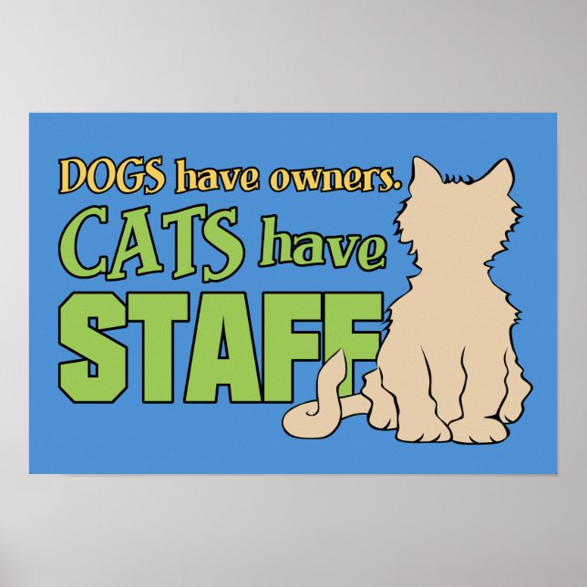 GATOS TÊM poster personalizado FUNCIONARIOS (Frente)
