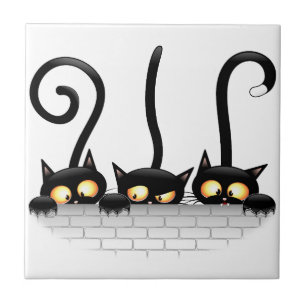 Gatos travessosos, divertidos e engraçados