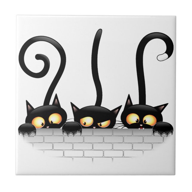 Gatos travessosos, divertidos e engraçados (Frente)