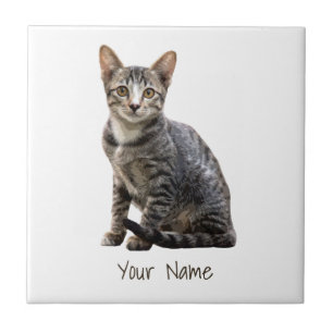 Gatos Vintage Retrato Pet Tomcat Animal Design