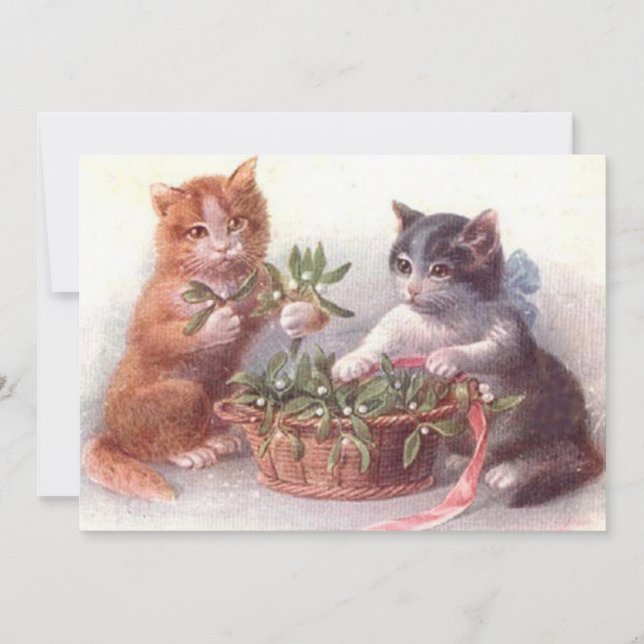 Gatos & Visco (Frente)