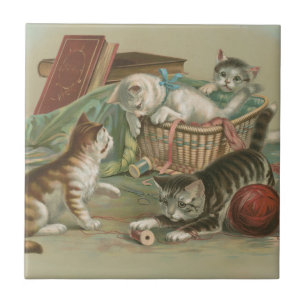 Gatos Vitorianos Antigos Brincando na Cesta de Cos