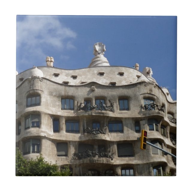 gaudi 2 (Frente)