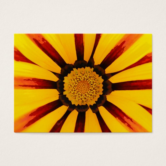 Gazania (Frente)